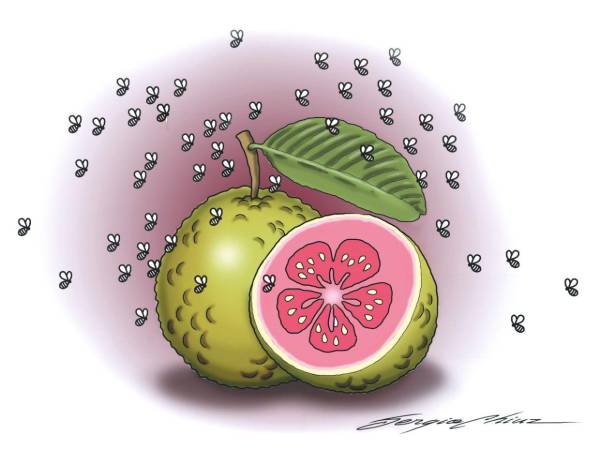 Hambre por la guayaba