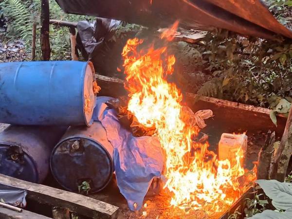 Los agentes de la DNPA localizaron y erradicaron el narcolaboratorio y la plantación de 56 mil arbustos de hoja de coca en un sector montañoso del municipio de San Esteban, Olancho.