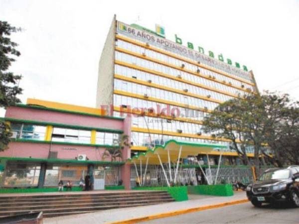 El Banco Nacional de Desarrollo Agrícola (Banadesa).