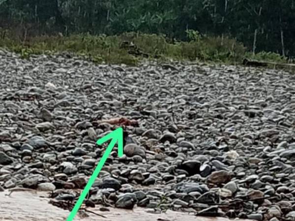 Los cuerpos fueron hallados a las orillas del río, en diferentes puntos del departamento.