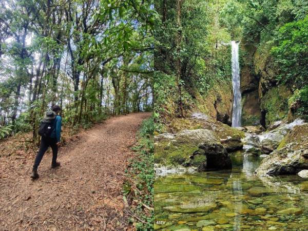 Si busca alternativas diferentes y alejadas del bullicio y del mar para el feriado de Semana Santa 2026, existen opciones donde el verde esmeralda y el aire puro son los protagonistas. A continuación, algunos de los parques nacionales para desconectar del caos urbano y recargar energías.
