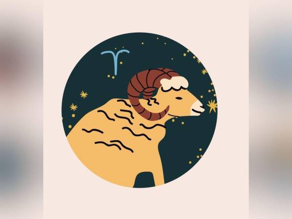 ARIES (21 de marzo - 20 de abril). Tu pareja te quiere y no deja de demostrártelo, pero tendrás que tomar la responsabilidad en tus manos de una vez por todas y corresponder a ese afecto, de lo contrario la relación puede comenzar a enfriarse. La pelota está en tu campo.
