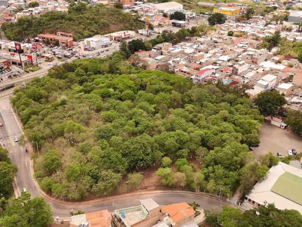 La AMDC continúa recuperando áreas verdes y espacios públicos para brindar a las familias capitalinas entornos más limpios, seguros y adecuados para la convivencia.