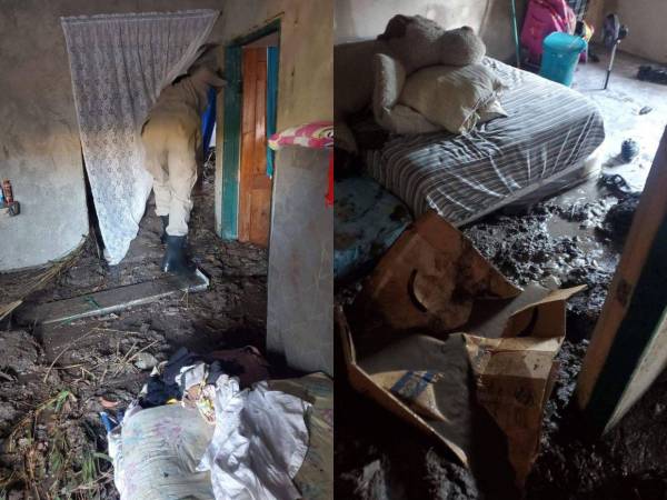 La familia pide ayuda al gobierno para poder recuperar lo perdido.