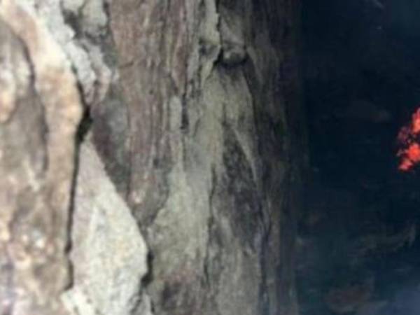 En medio de la lluvia registrada en la capital la noche del miércoles, un cortocircuito habría provocado un voraz incendio en la colonia Nueva Suyapa, donde Ricardo y Ronald Lagos López, ambos hermanos, murieron. Aquí las imágenes y el relato de lo ocurrido: