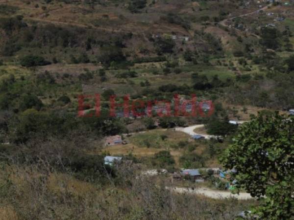 En un predio de 20 hectáreas ubicado en la colonia Miramesí se pretende construir la nueva planta de tratamiento. Fotos: Alex Pérez/EL HERALDO
