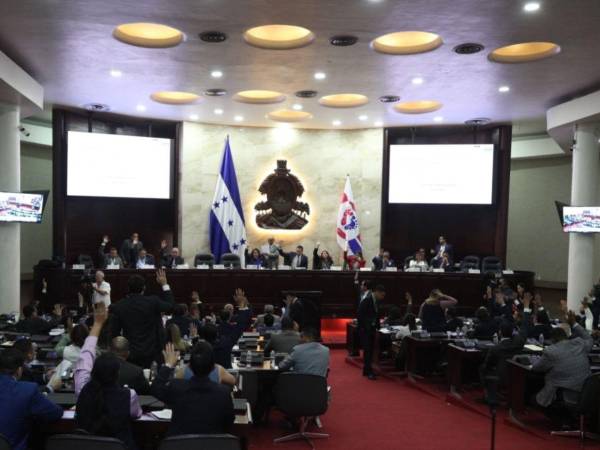Para hacer reformas electorales y elegir a las autoridades del CNE se necesitan 86 votos.