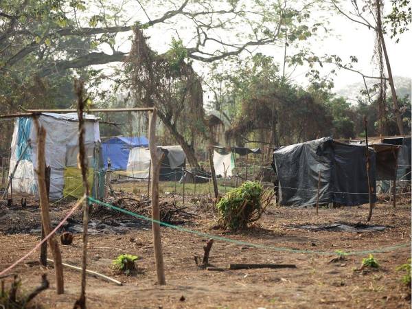 Más de 84,000 manzanas de tierra permanecen invadidas en Honduras. Con la ley vigente desde junio, las autoridades buscan garantizar la producción nacional y fortalecer la seguridad jurídica sobre la propiedad agrícola.