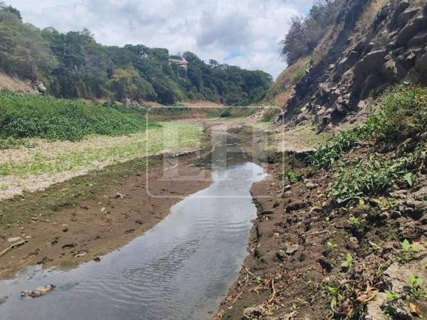 El panorama que se observa en el río Guacerique genera alarma y evidencia los efectos de la sequía sobre las principales fuentes que abastecen a la capital hondureña. El afluente agoniza debido a la falta de lluvias y en su lugar solo ha quedado un escaso hilo de agua.