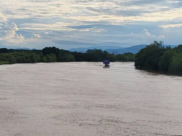 Debido a la cantidad de agua que se reportó en la última semana, el río Ulúa presentó un enorme crecimiento.