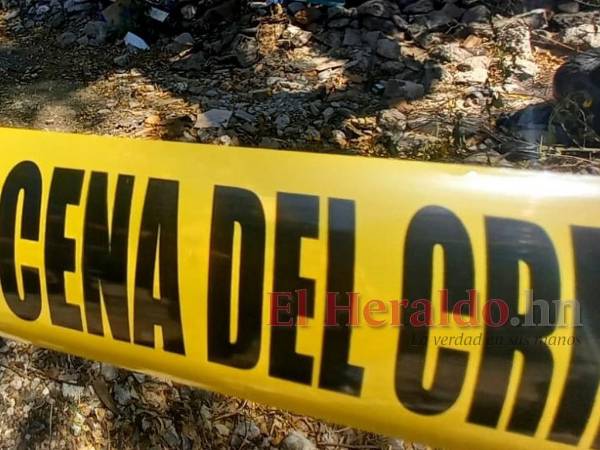 El dantesco hallazgo se produjo a la orilla de la carretera que conduce a Dulce Nombre de Culmí.