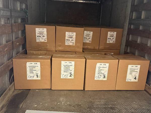 Personal del CNE supervisa la llegada de las primeras cajas con papeletas electorales enviadas desde la imprenta. El recibimiento del material electoral da paso a la fase final de preparación del material.