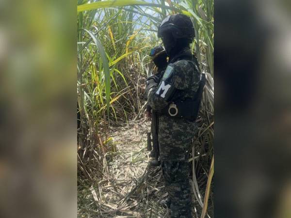 El cuerpo de la joven fue hallado semienterrado en medio de las cañeras.