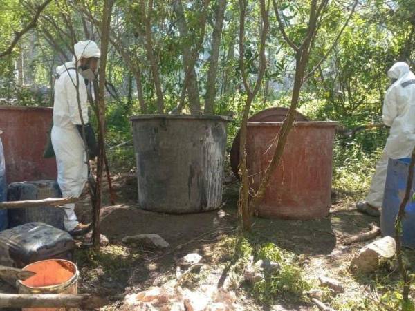 El operativo causó una pérdida económica al crimen organizado de más de 6,5 millones de pesos.