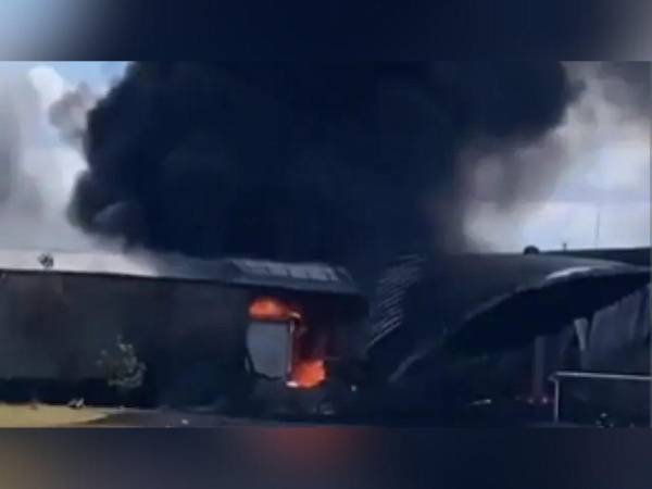 Al menos seis personas murieron tras la caída de una avioneta en el centro de México.