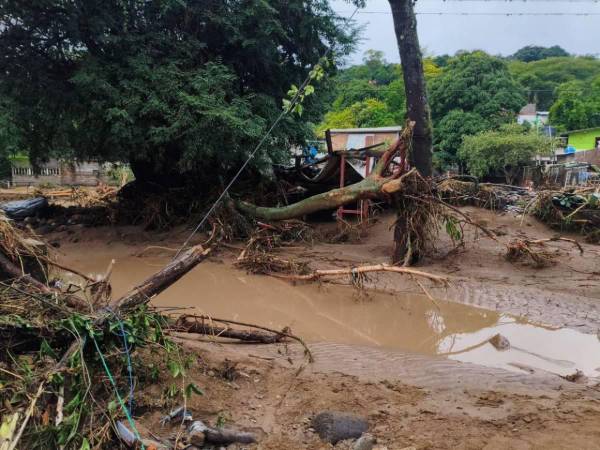 El Cuerpo de Bomberos de Honduras informó sobre el rescate de 30 personas y la atención de al menos nueve inundaciones y cuatro derrumbes en Tegucigalpa.