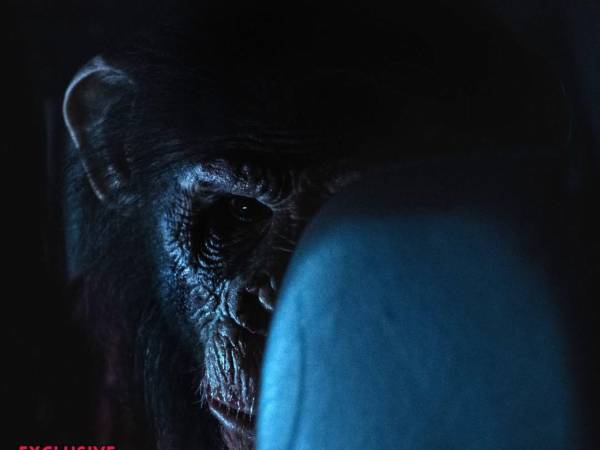 La película de Johannes Roberts con Troy Kotsur se estrena mañana 1 de enero como el primer gran estreno de terror de 2026, prometiendo violencia extrema con un chimpancé rabioso como protagonista.