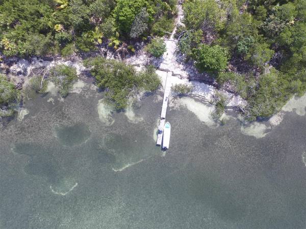 No se busca limitar la actividad turística, sino promoverla, especialmente en los refugios de vida silvestre como este de Turtle Harbour en Utila.