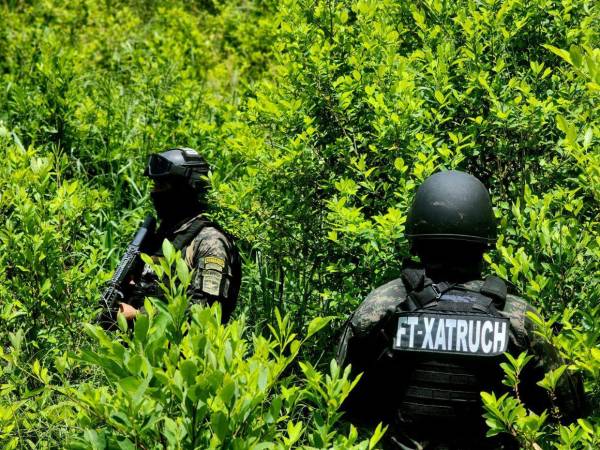 Elementos de las Fuerzas Armadas de Honduras custodian la extensa plantación en Iriona, en el departamento de Colón.