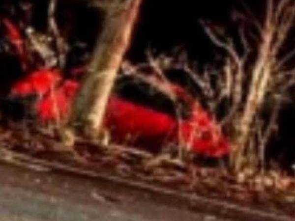 Hasta el momento solo ha sido identificada una menor de edad como víctima del fatal accidente.