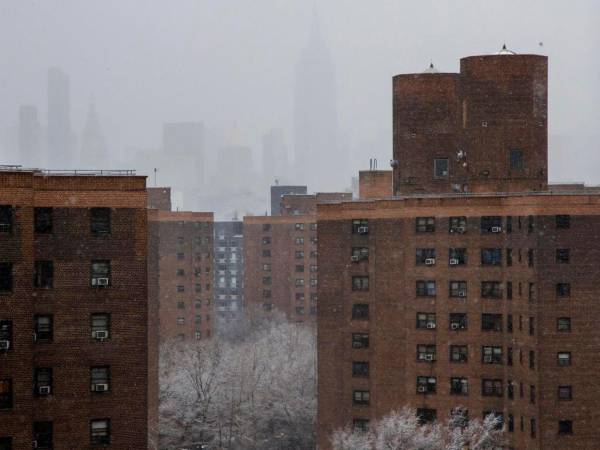 El correo decía que NYCHA, que administra el dinero para los beneficiarios en Nueva York, ya no podría seguir aportando al pago de su alquiler.