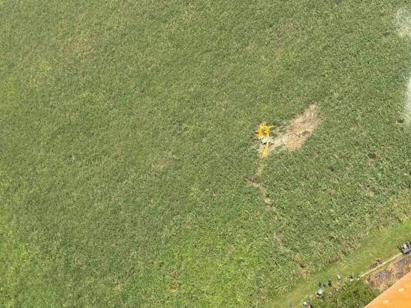 Una avioneta utilizada para labores de fumigación se estrelló la mañana de este domingo en campos bananeros de la aldea Cruz de Valencia, en el municipio de La Lima, departamento de Cortés, al norte de Honduras, dejando como saldo la muerte del piloto que la conducía.