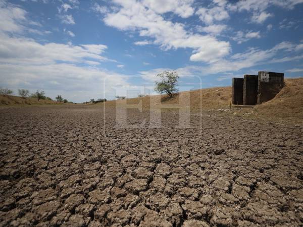 Más de 200 fincas de camarón permanecen cerradas en la zona sur de Honduras tras cortar relaciones con Taiwán. Muchas están a punto de desaparecer por completo si el Gobierno actual no interviene. La crisis se agrava a medida que pasa el tiempo y no reciben una respuesta.