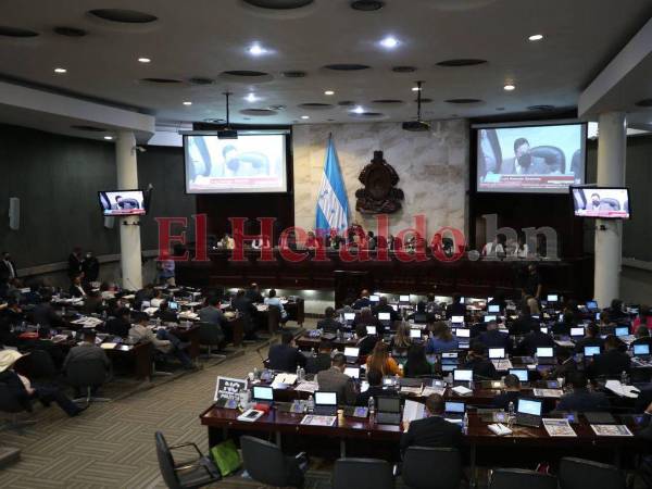 Seis sectores restantes, establecidos para conformar la Junta Nominadora para el proceso de elección de la CSJ, tienen hasta el 31 de agosto para acreditar a sus representantes.