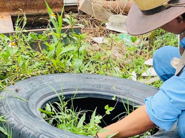 Las autoridades sanitarias piden a la población eliminar recipientes que acumulan agua y se convierten en criaderos de zancudos.