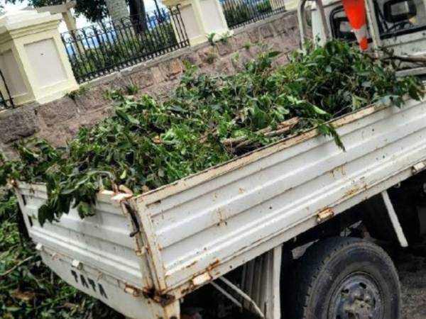 Los vecinos también cuestionan el aspecto que ha dejado la intervención en algunas áreas.
