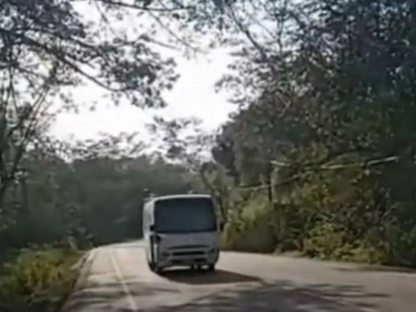 El bus atenció la señal policial para aminorar la velocidad pero aún así colisionó más adelante con una rastra.