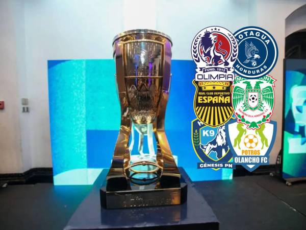 Los partidos comenzarán a disputarse este fin de semana.