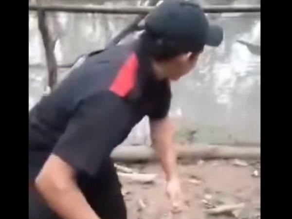 El video de un guardia lanzando perrito a cocodrilos y que provoca indignación