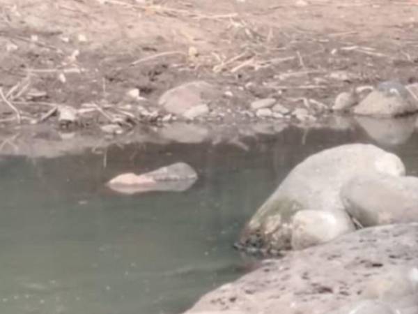 El cuerpo del hombre fue llevado a una zona solitaria donde le quitaron la vida.