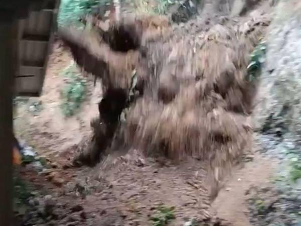 La mujer grababa el peligro que corría su vivienda por un alud de tierra, sin imaginar que este se desprendería en ese mismo momento.