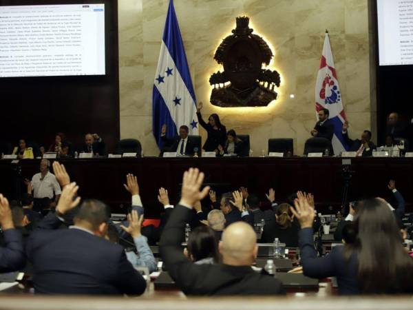 Dentro del Congreso Nacional aún no cuentan con los votos requeridos (65) para la reforma energética.