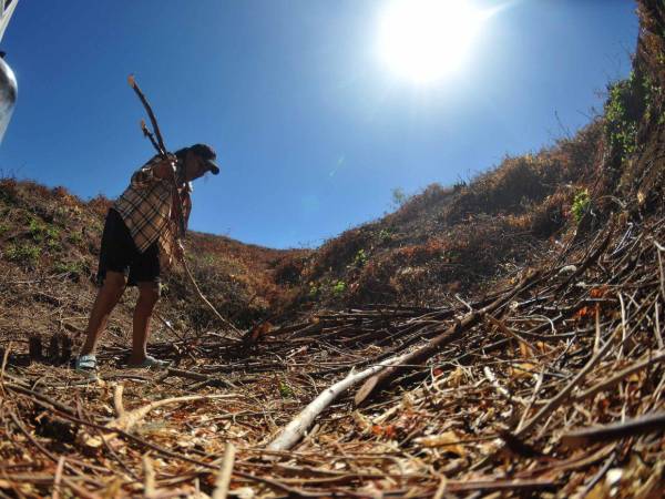 Miles de hondureños se encuentran en inseguridad alimentaria debido a la falta de agua. La sequía en Honduras mantiene en alerta a varios municipios, donde las lluvias están muy por debajo del promedio.