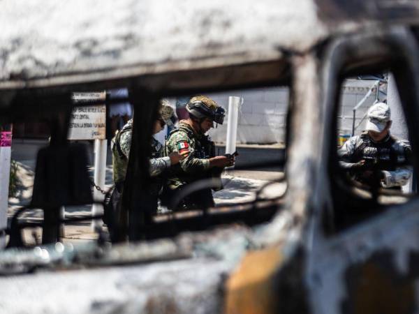 El grupo trabaja regularmente con el ejército mexicano a través del Comando Norte de Estados Unidos.