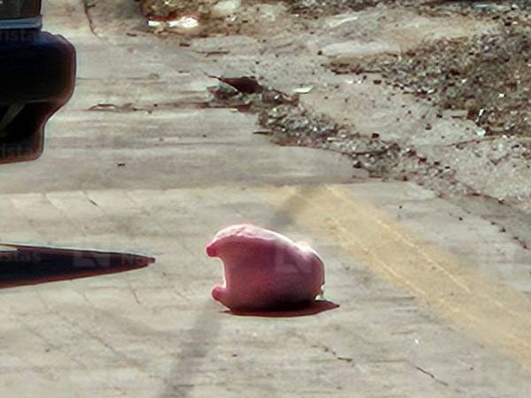 La aparición de peluches con forma de cerdito color rosa en al menos cuatro escenas de homicidios registrados recientemente en Culiacán, Sinaloa, ha generado alarma entre autoridades y reactivado el interés en el caso del feminicidio de la creadora de contenido Valeria Márquez, ocurrido en Zapopan, Jalisco, en México, durante una transmisión en vivo