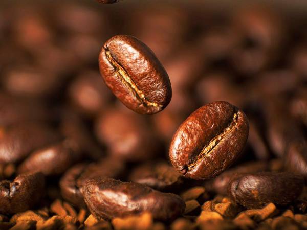 El café hondureño alcanzó 2,108.8 millones de dólares en exportaciones hasta agosto de 2025.