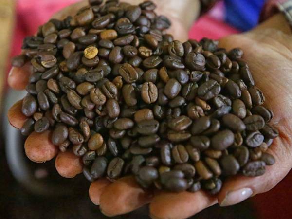 El foro se enfoca en conectar a productores y cooperativas con instituciones financieras internacionales, fondos verdes y bancos de desarrollo.