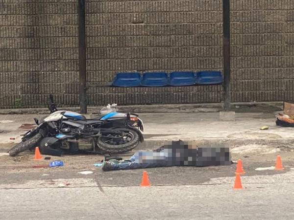 Las autoridades policiales ya han puesto en marcha las investigaciones correspondientes para localizar el paradero de los culpables de este asesinato y esclarecer los hechos.