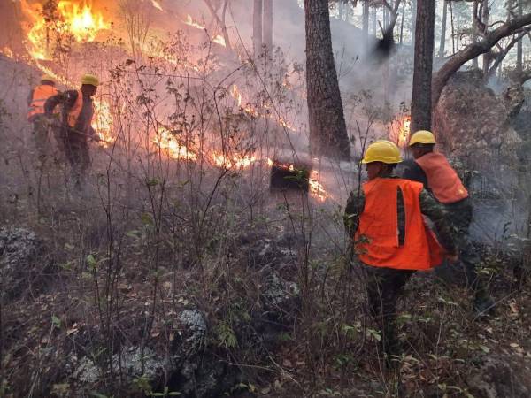 Efectivos militares combaten uno de los incendios ocurridos en las montañas cercanas a la capital de la República.