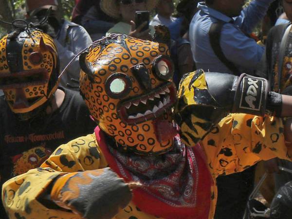 En las comunidades indígenas del sur de México, la llegada de las lluvias no solo depende del clima, sino también de una tradición ancestral que mezcla fe, cosmovisión y sacrificio: la pelea de jaguares, un ritual que cada año reúne a pobladores para pedir buenas cosechas.