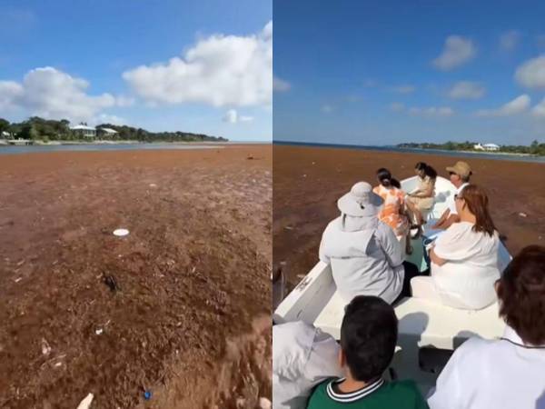 Las principales playas del paraíso turístico Utila, amanecieron bajo una capa densa de sargazo marino (macroalgas), según fotografías que fueron compartidas este lunes 16 de febrero a través de redes sociales. ¿Qué respuesta dieron las autoridades? A continuación los detalles.