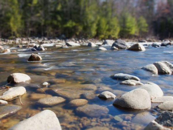 Las autoridades alemanas reportaron varios incidentes en ríos del país durante los días de altas temperaturas, con víctimas entre jóvenes y adultos que ingresaron al agua