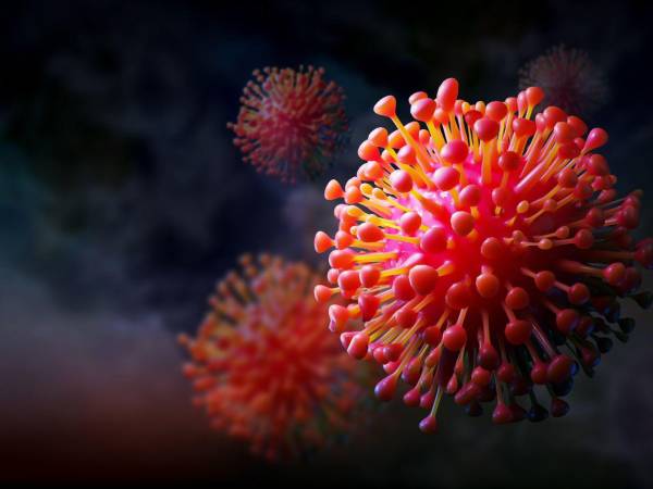 Las autoridades sanitarias informaron que la variante del covid-19 conocida como Frankenstein ya circula en Honduras. Más detalles sobre esta variante a continuación.