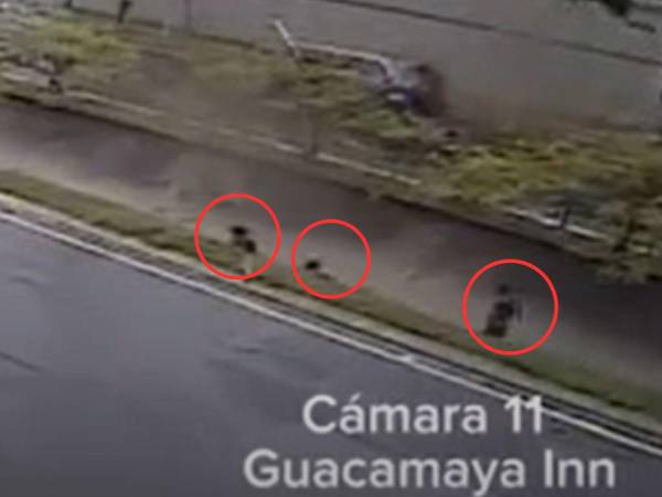 Un video que circula en redes sociales muestra al menor Elvis Eliú Bautista, su hermano Erik, su amigo Miguel Umaña y otros niños corriendo en una quebrada, a la que se metieron tras regresar de los desfiles patrios. Dos de ellos cayeron al agua y solo uno logró salir; Elvis Eliú sigue desaparecido. Aquí los detalles: