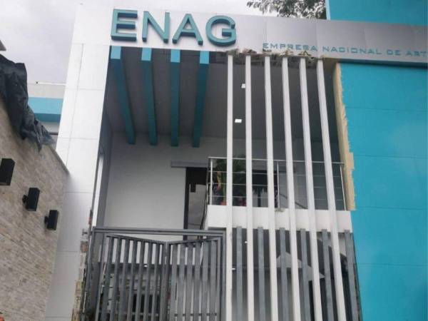 No pueden hacer una sesión solo porque estamos en un mes político y quieren hacer un show y deslegitimar las elecciones, expresó el director de la ENAG.