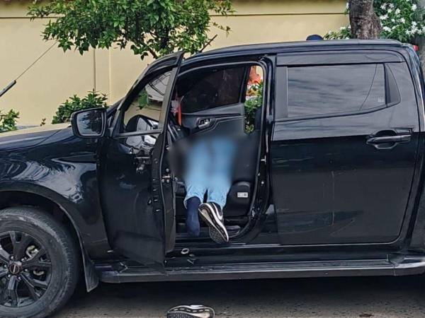 La víctima quedó tendida boca abajo en la parte delantera del automotor, con la puerta abierta.